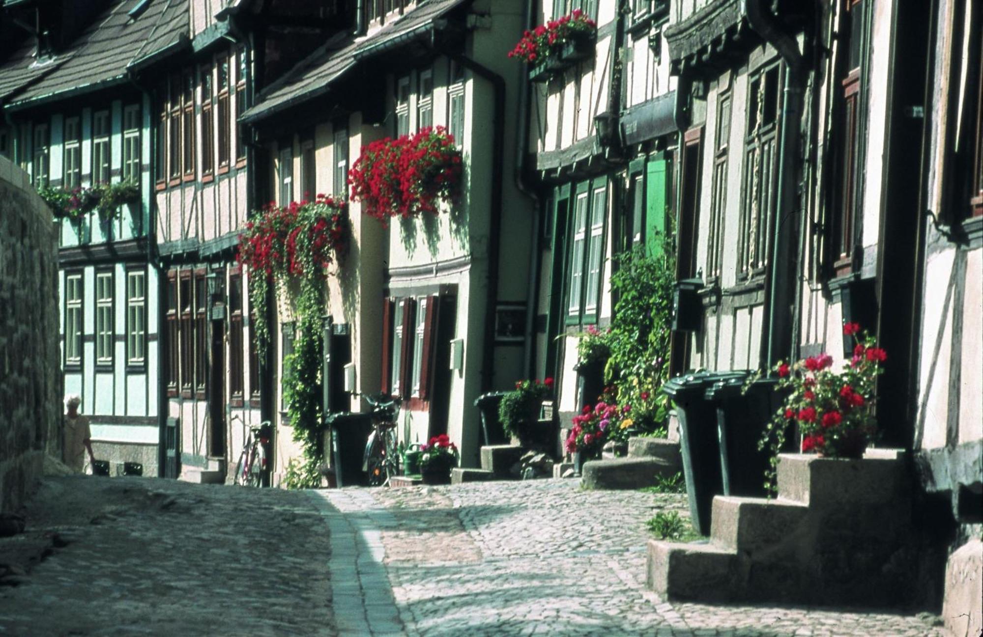 Le Petit Palais - Hotel/pension 3* Bad Suderode